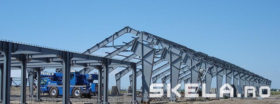 Structura metalica hale industriale si agricole - Skela Industries
