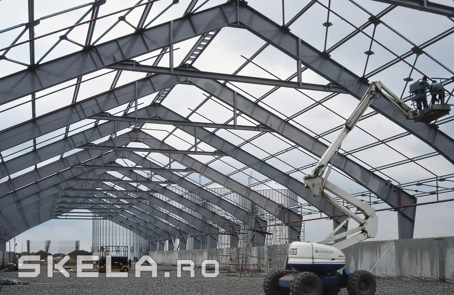 Structuri hale metalice agricole si industriale - Skela Industries